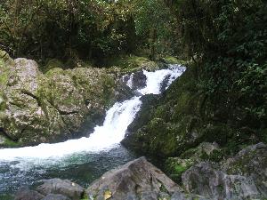 Near the Source of the Riwaka River